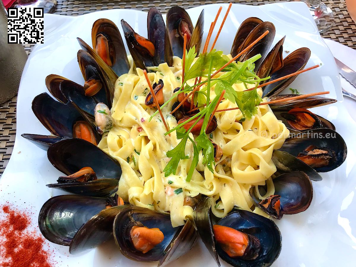 France Marseille Vieux-Port pasta with mussels at Le New Terrasse