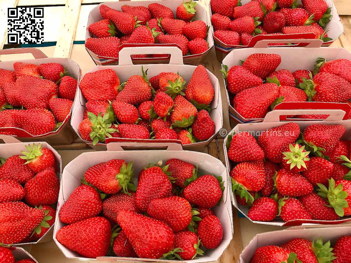 Europe fresh strawberries in boxes for sale.